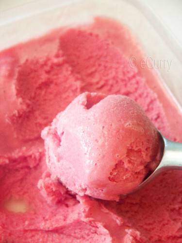 pomegranate-mint-frozen-yogurt-4-copy
