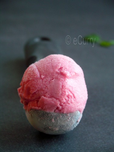 pomegranate-mint-yogurt-ice-cream-2