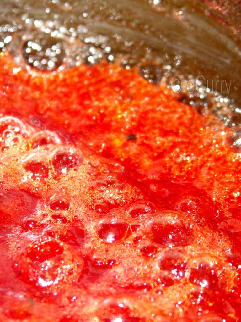 Watermelon & Mint Jelly eCurry The Recipe Blog