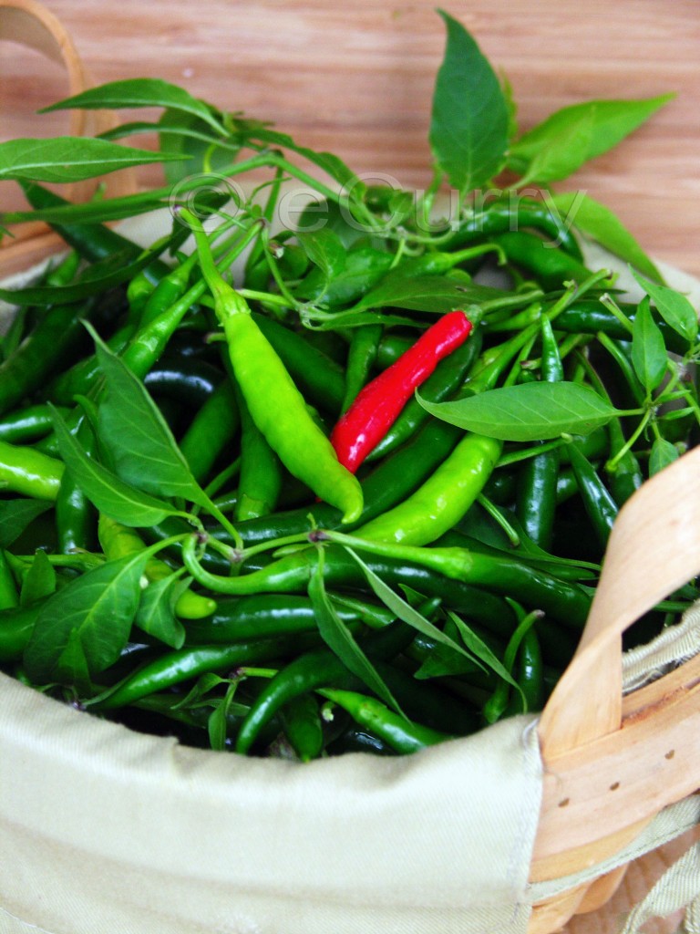 Pickled Chili Peppers eCurry The Recipe Blog