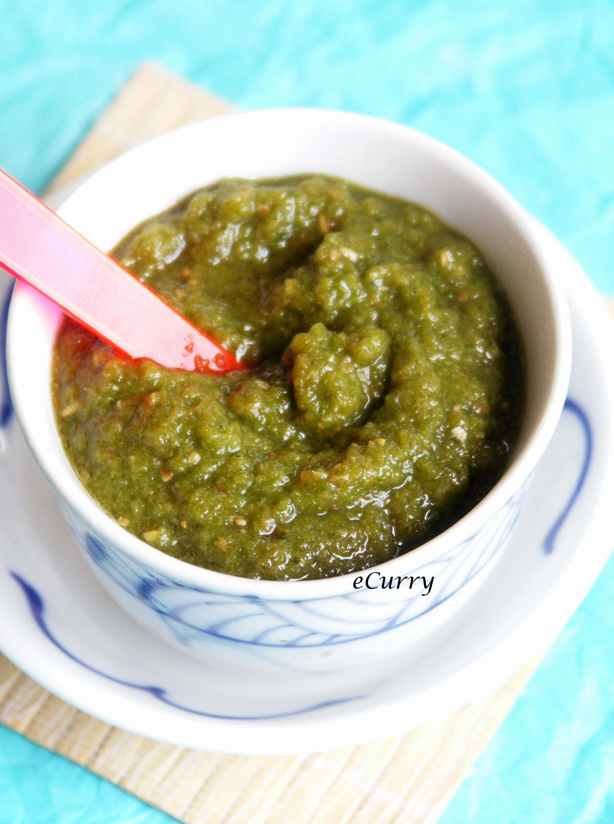 Mint, Coriander and Radish Chutney eCurry The Recipe Blog