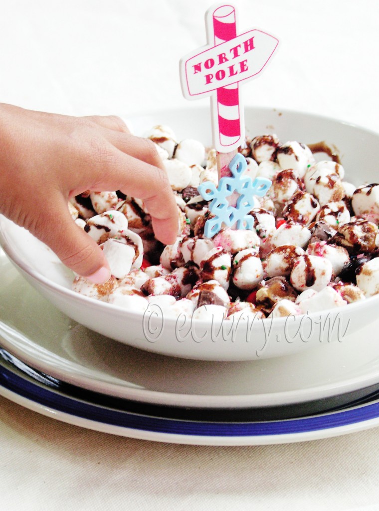 north pole in a bowl