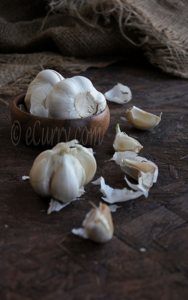 garlic 