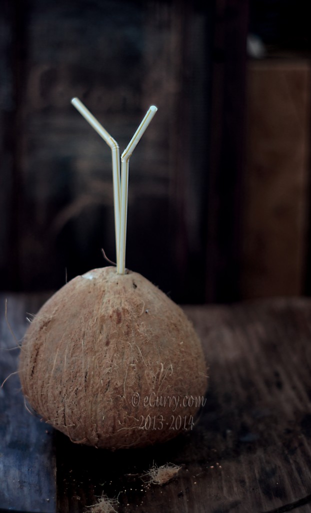 coconut-3.jpg