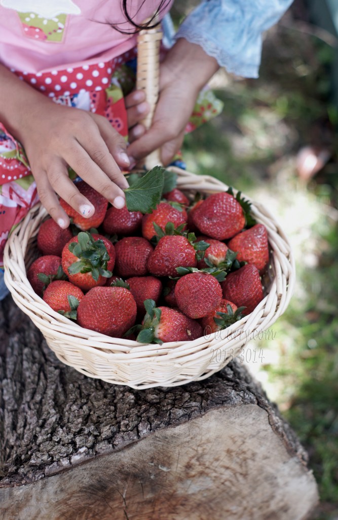 fresh-strawberries-1.jpg