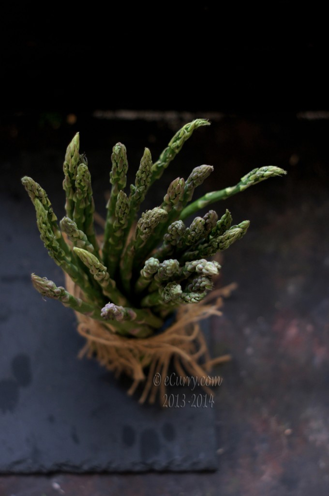 Asparagus-5.jpg