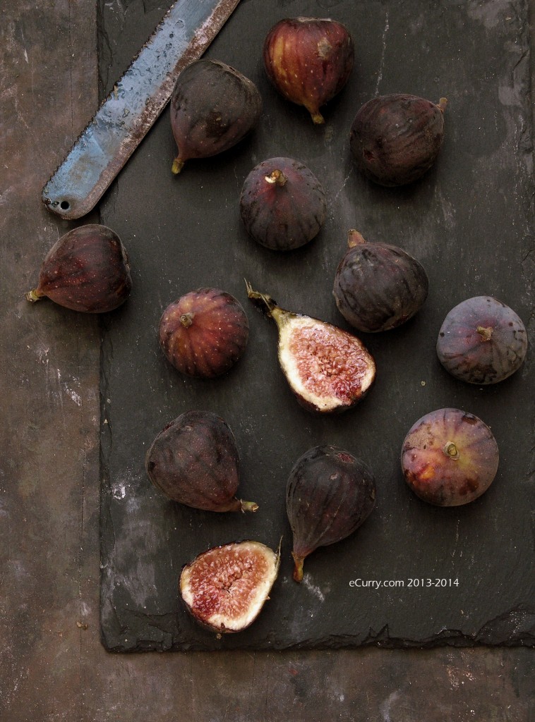 figs-1.jpg