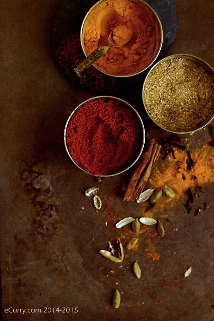 Indian spices 2