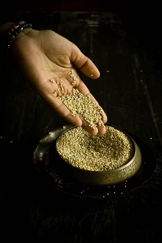 quinoa_2.Final